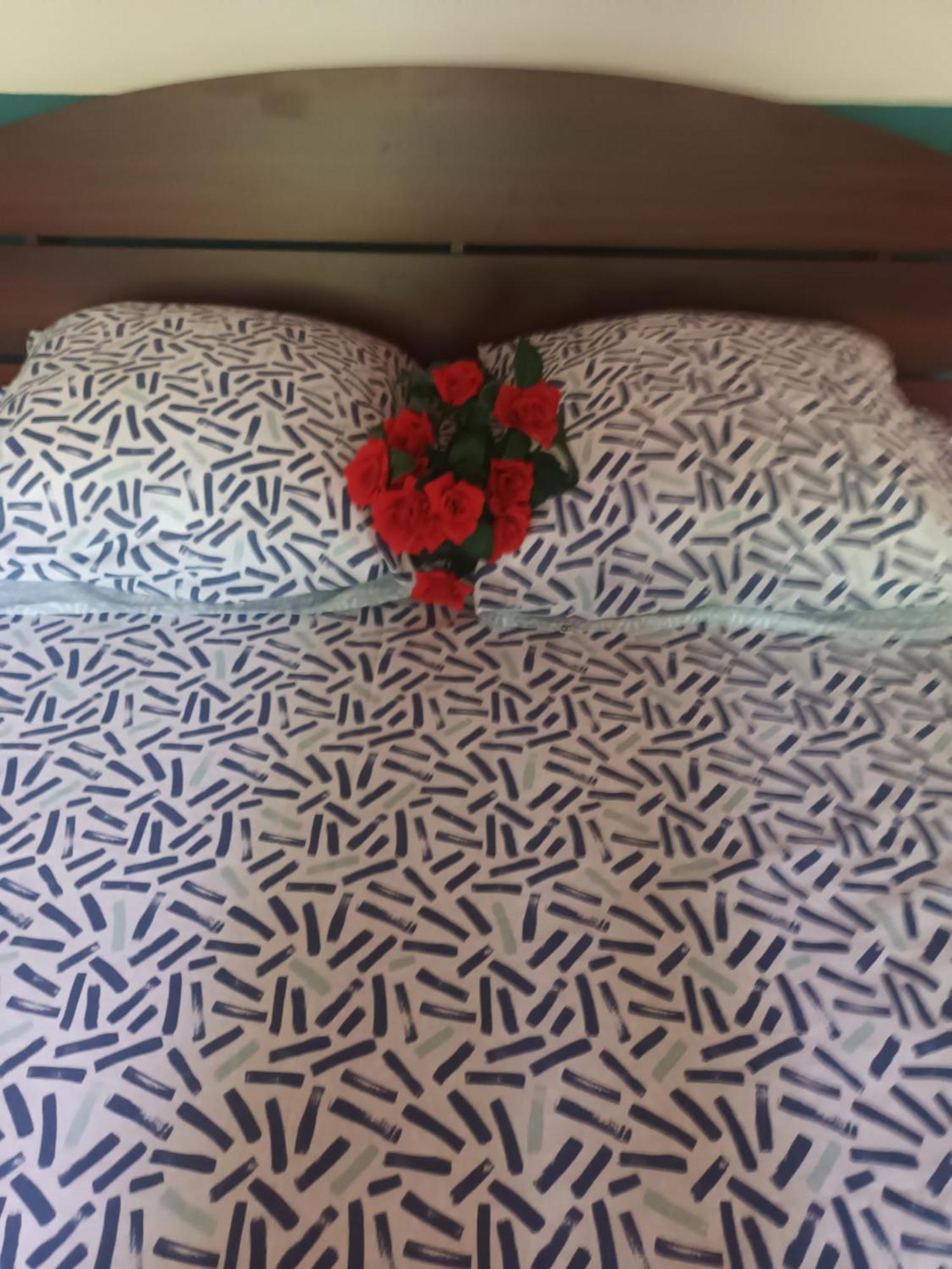 مافونت لافينيا Lovely Flowers In Mount Lavinia المظهر الخارجي الصورة