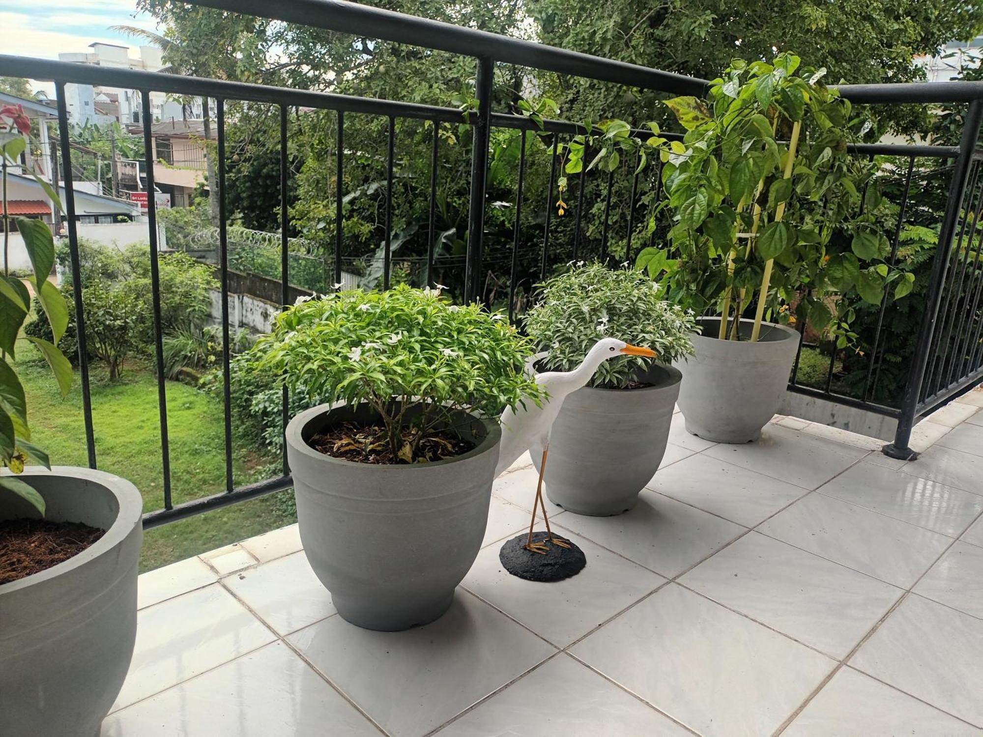 مافونت لافينيا Lovely Flowers In Mount Lavinia المظهر الخارجي الصورة