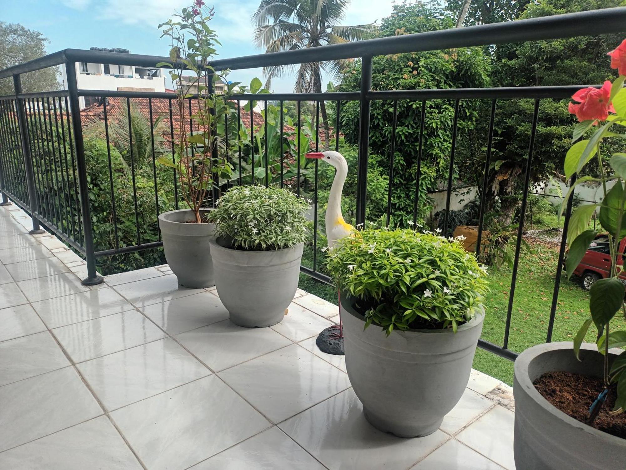 مافونت لافينيا Lovely Flowers In Mount Lavinia المظهر الخارجي الصورة