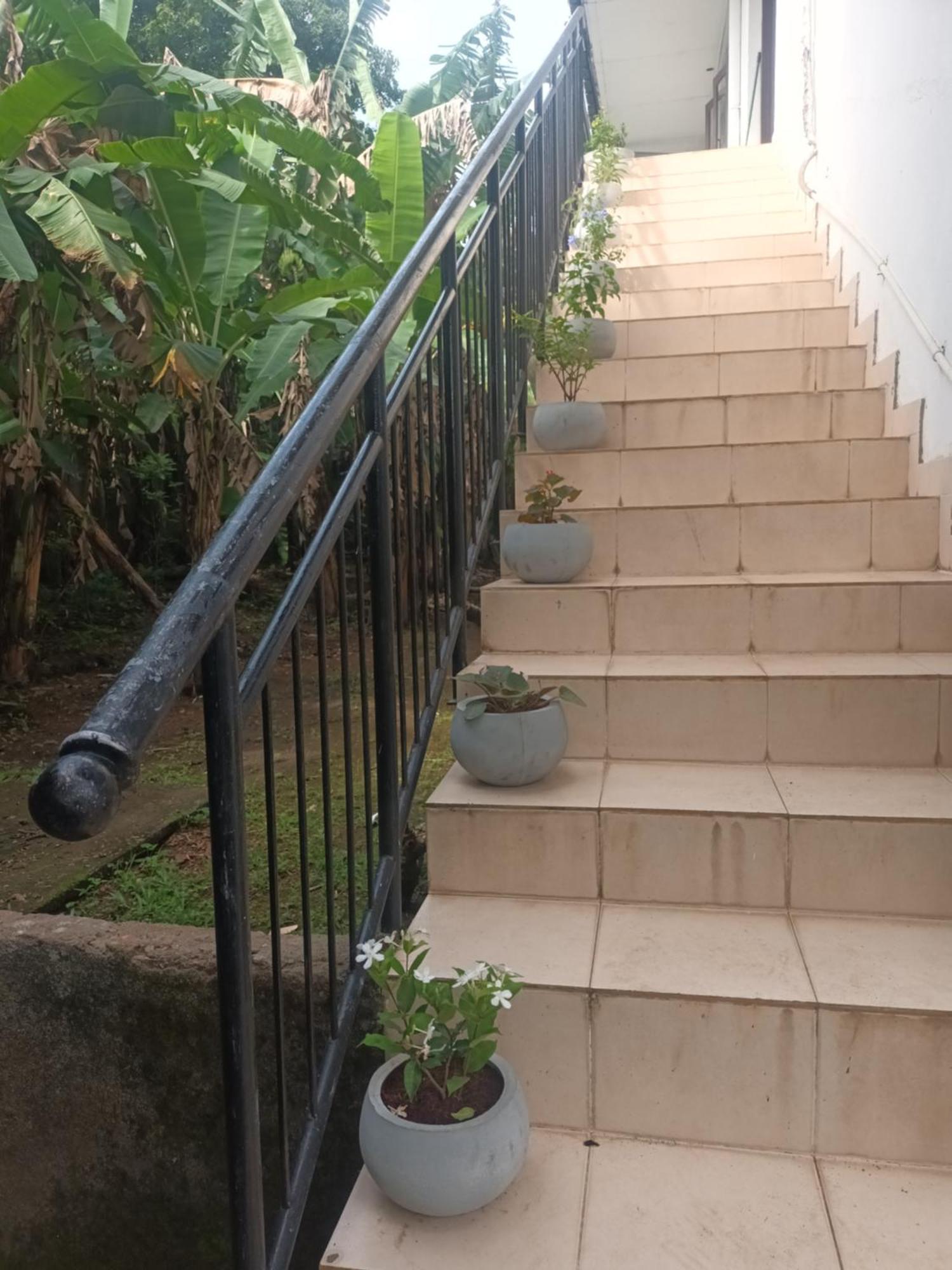 مافونت لافينيا Lovely Flowers In Mount Lavinia المظهر الخارجي الصورة