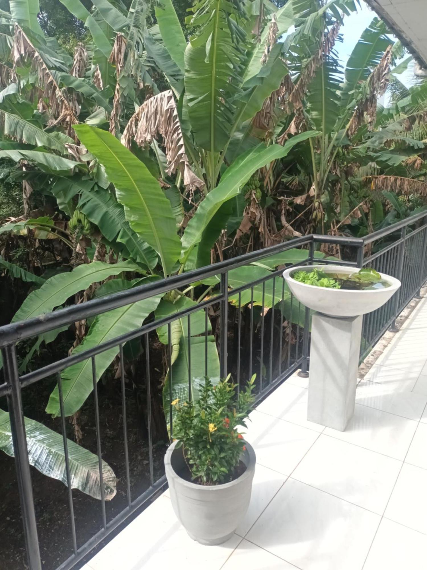 مافونت لافينيا Lovely Flowers In Mount Lavinia المظهر الخارجي الصورة