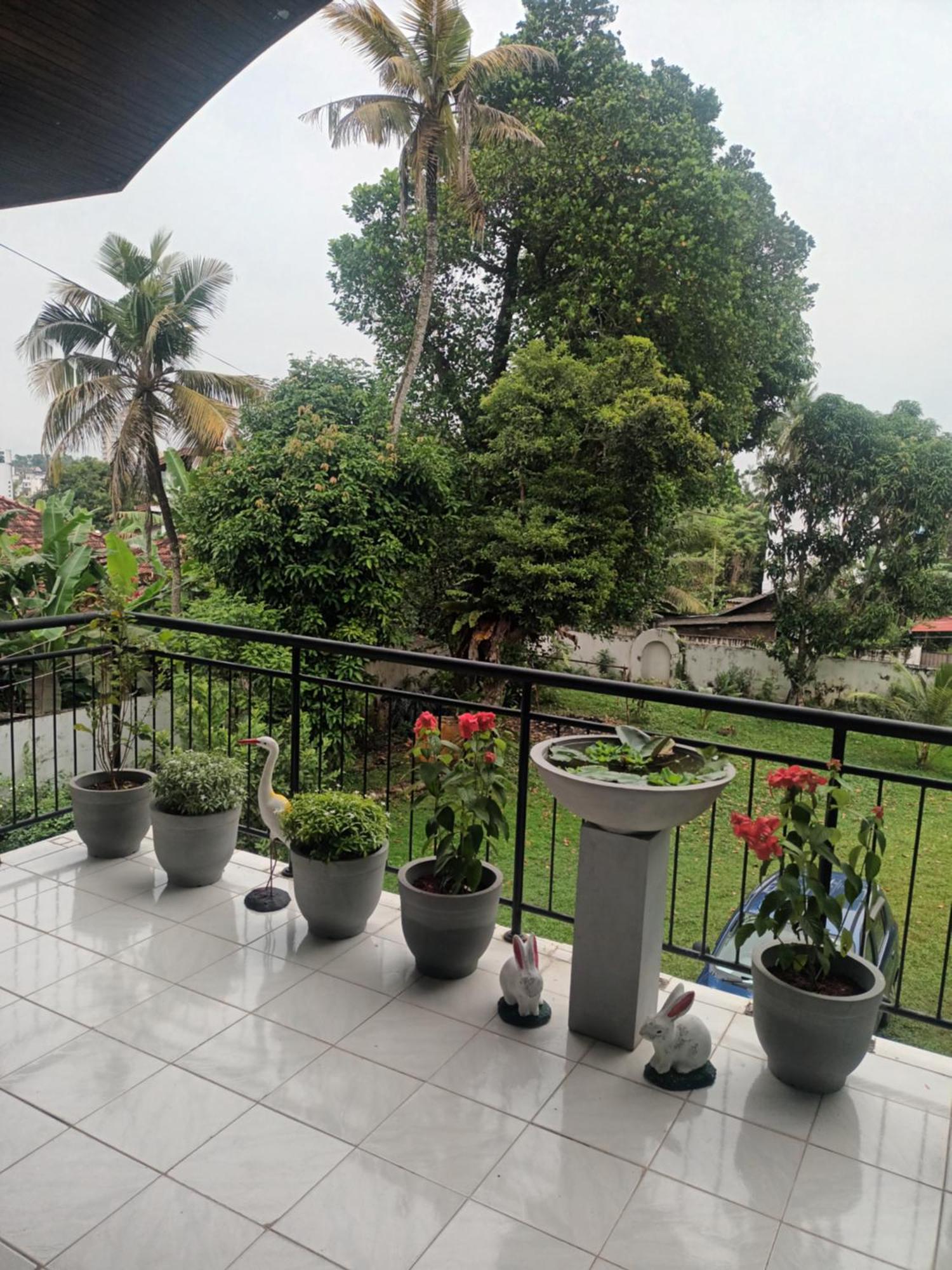 مافونت لافينيا Lovely Flowers In Mount Lavinia المظهر الخارجي الصورة