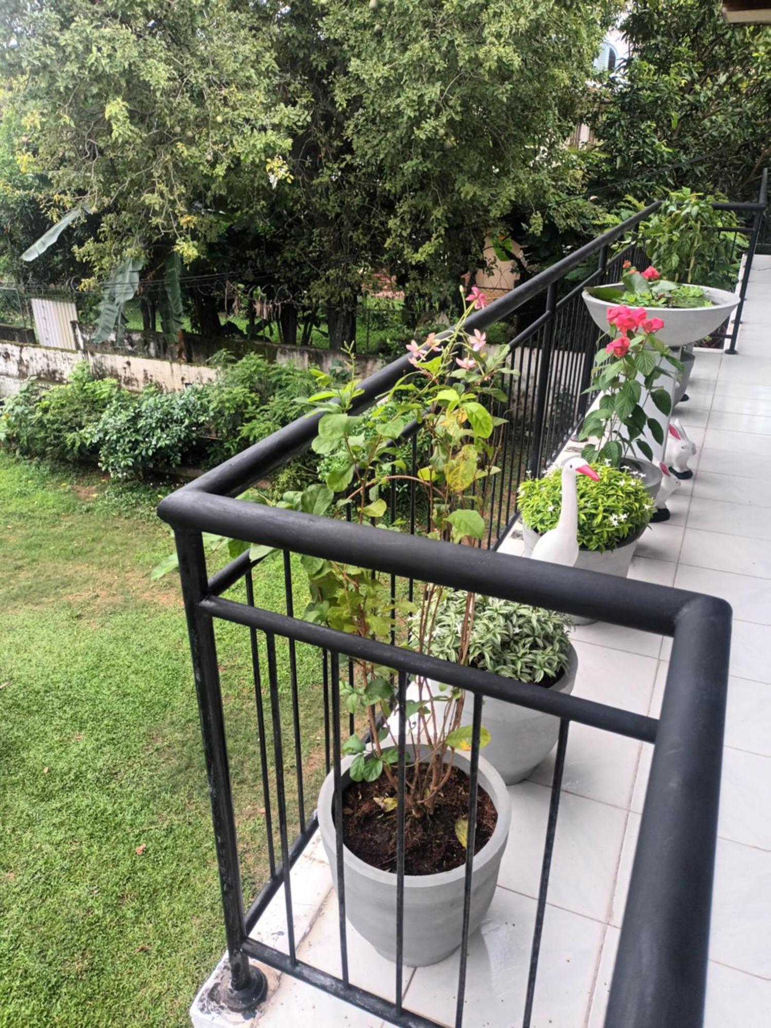 مافونت لافينيا Lovely Flowers In Mount Lavinia المظهر الخارجي الصورة