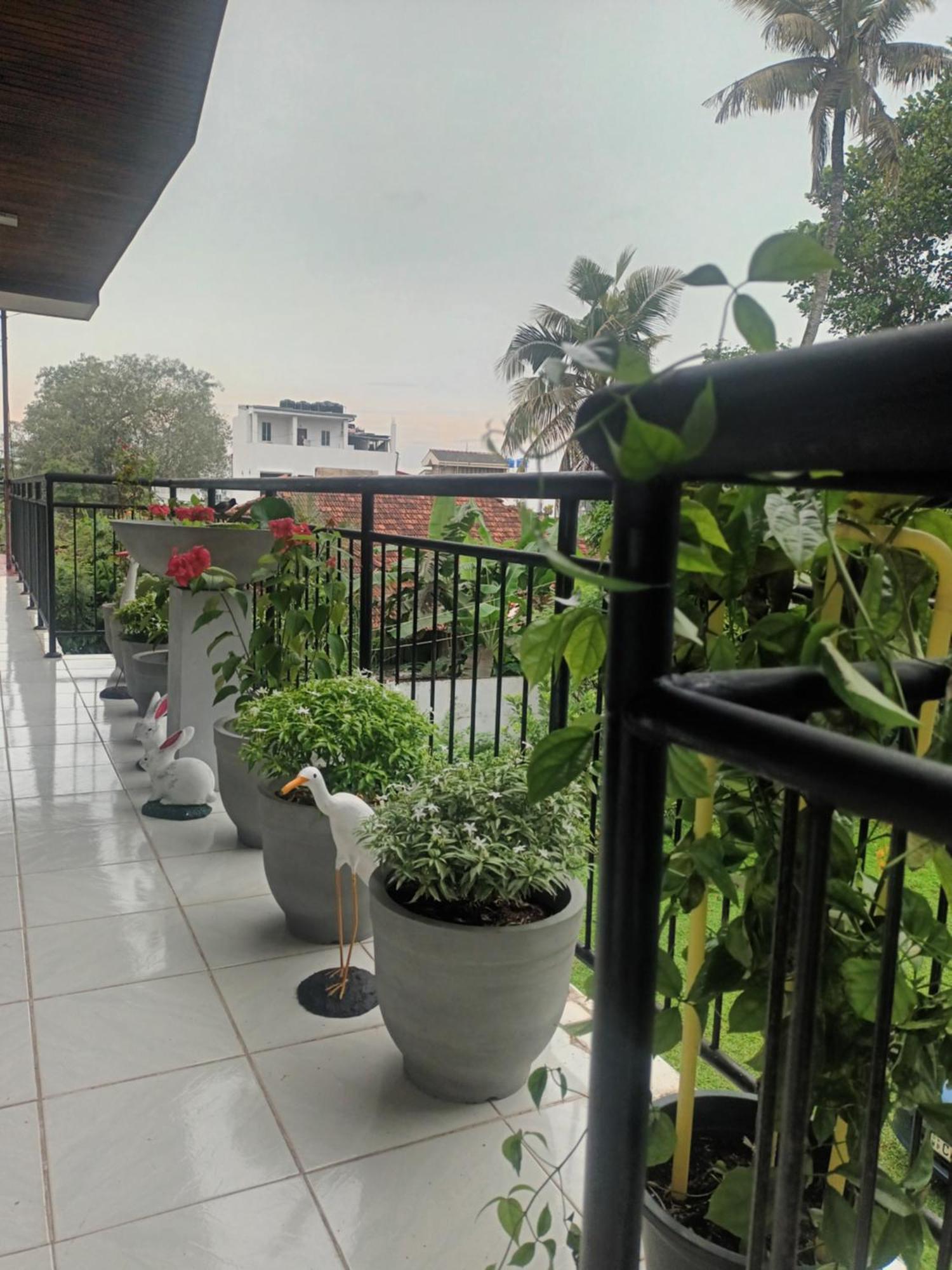 مافونت لافينيا Lovely Flowers In Mount Lavinia المظهر الخارجي الصورة